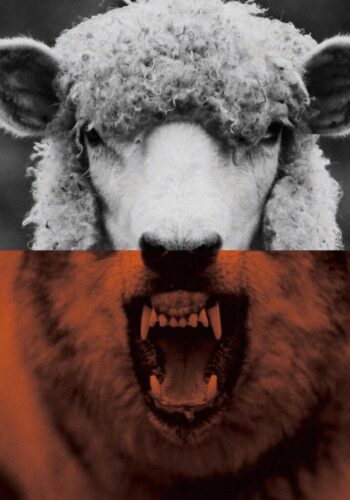 63add2e9a6bbf6382926064c_loup mouton 63add2e9a6bbf6382926064c_loup mouton